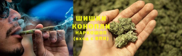 PSILOCYBIN Горнозаводск