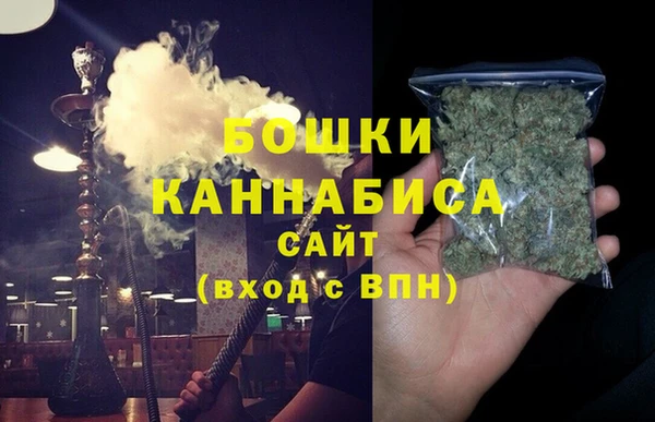 PSILOCYBIN Горнозаводск