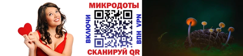Псилоцибиновые грибы Cubensis  Купить закладки  Правдинск 